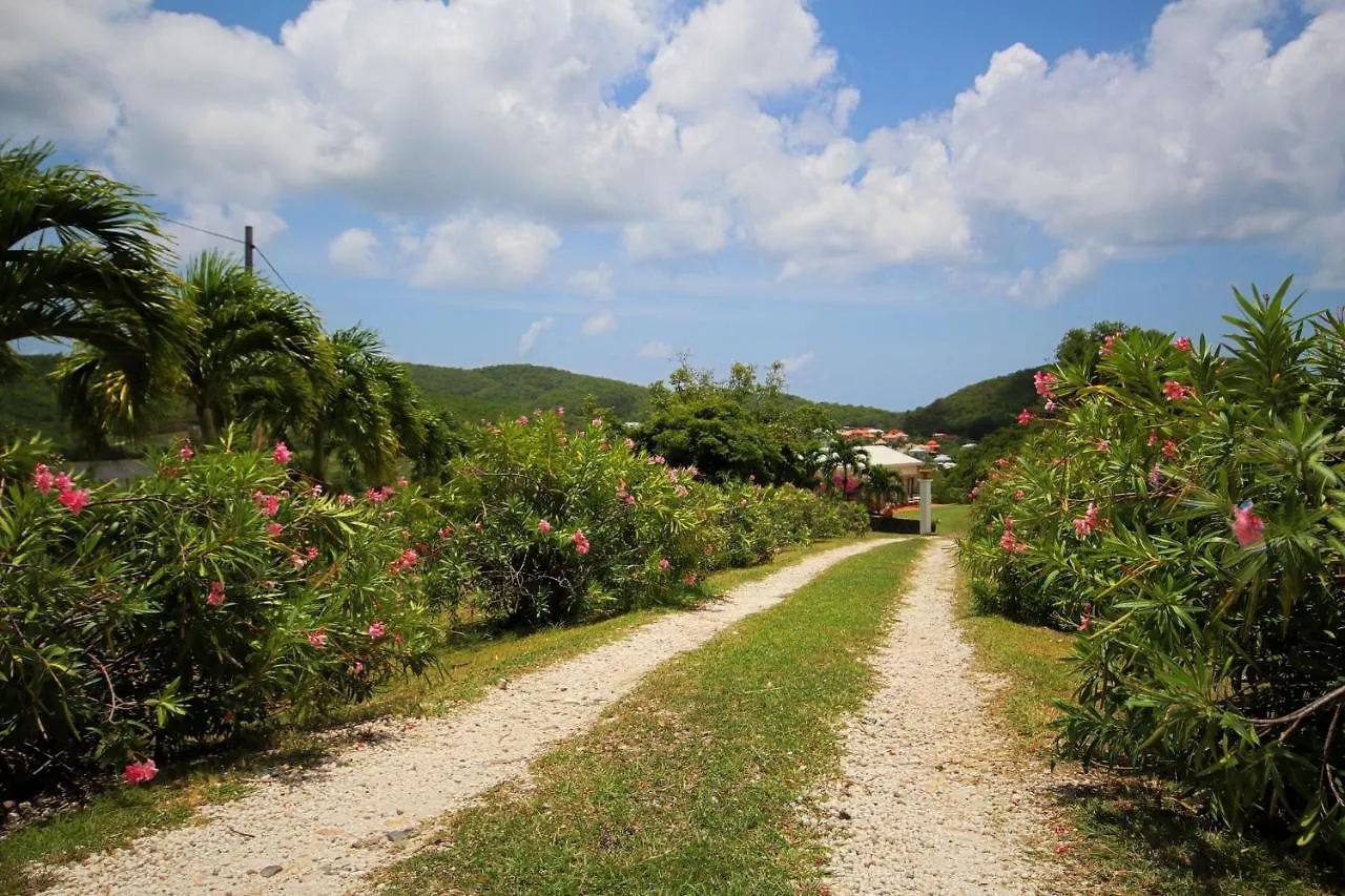 Villa With Swimming Pool And Garden View Mqsa20 Sainte-Anne Martinique